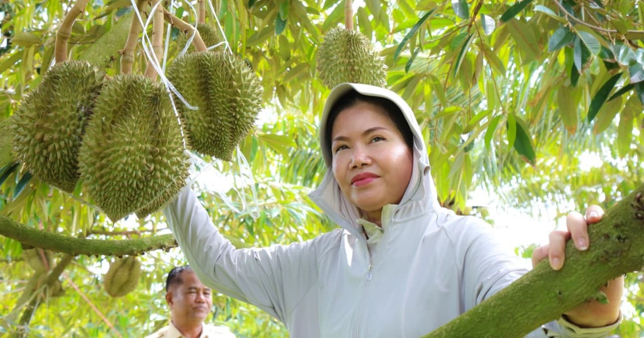 យើងត្រូវរួមគ្នាពហិកាផ្លែឈើនាំចូលពីប្រទេសថៃ ហើយងាកមកគាំទ្រ និងលើកកម្ពស់ផ្លែកឈើក្នុងស្រុក