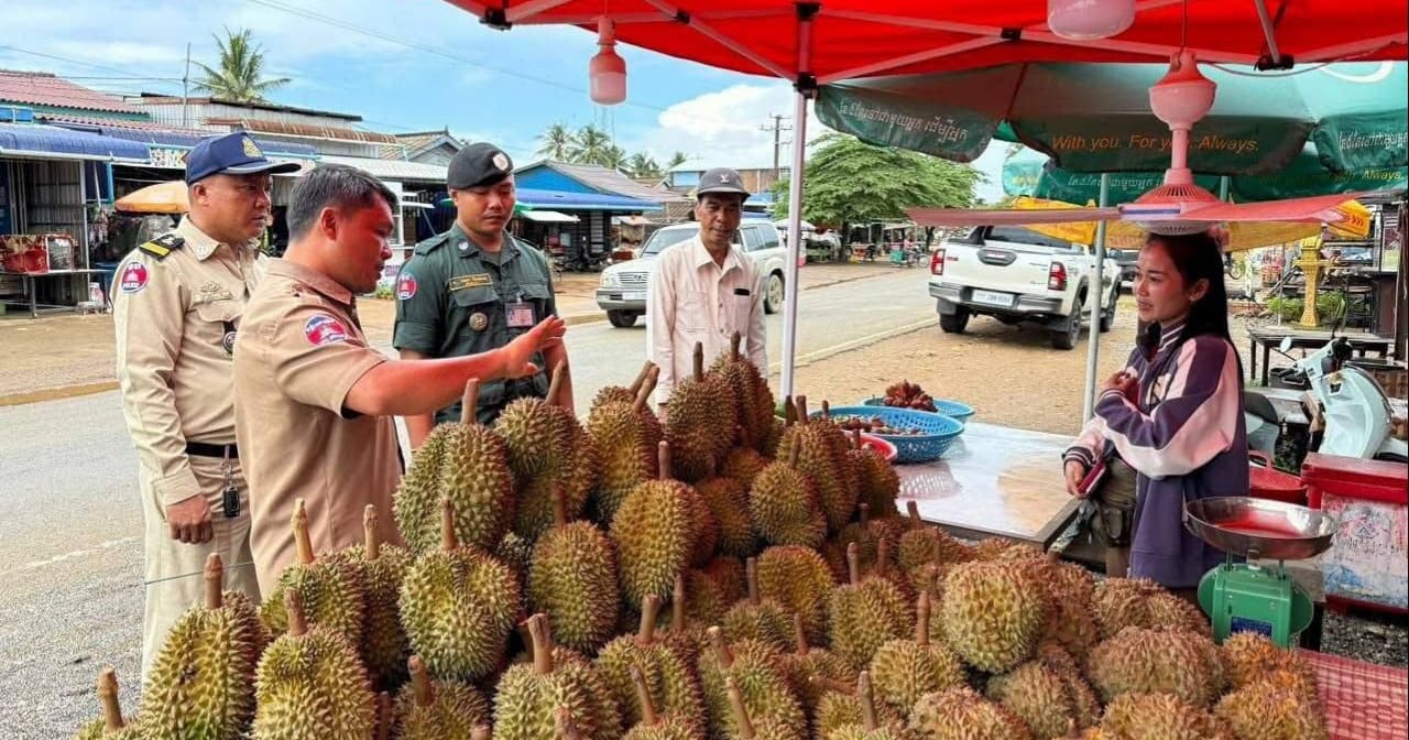 ការពារកេរ្តិ៍ឈ្មោះ «ទុរេនសំឡូត»! អាជ្ញាធរតម្រូវឱ្យអាជីវករបង្ហាញប្រភពចំការ និងលេខទូរស័ព្ទច្បាស់លាស់