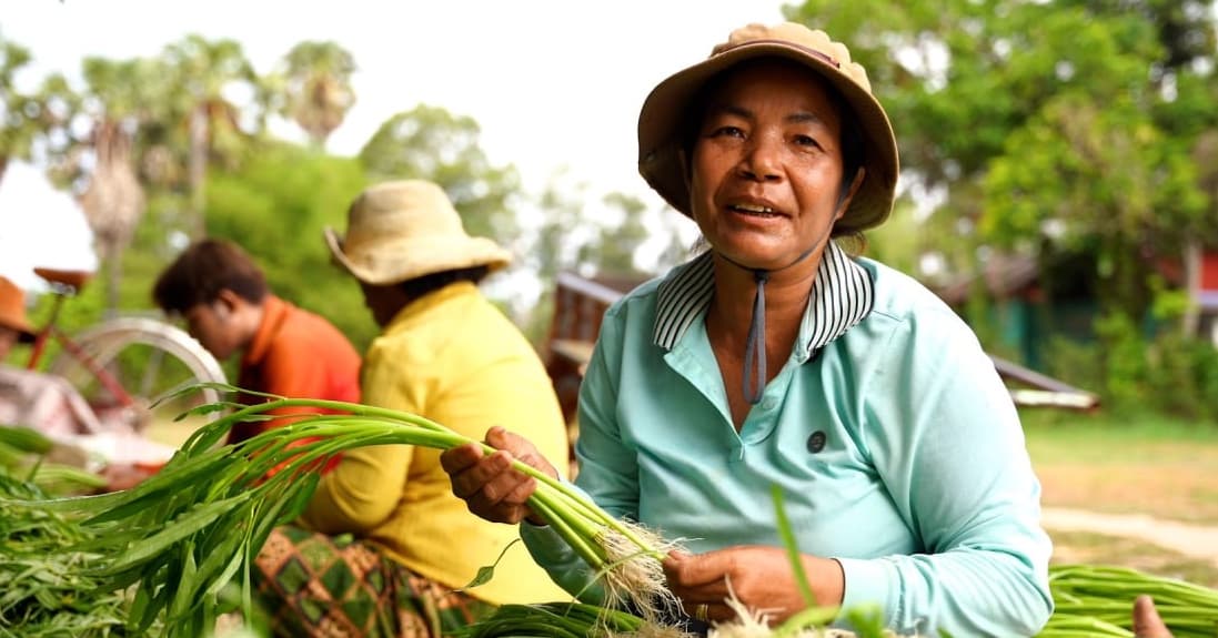 ប្រភពចំណូលដ៏សំខាន់របស់ពលរដ្ឋជាង ៨០% ក្នុងភូមិអូរ ស្រុកប្រាសាទបាគង